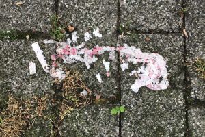 das leben als zusammenhängendes etwas